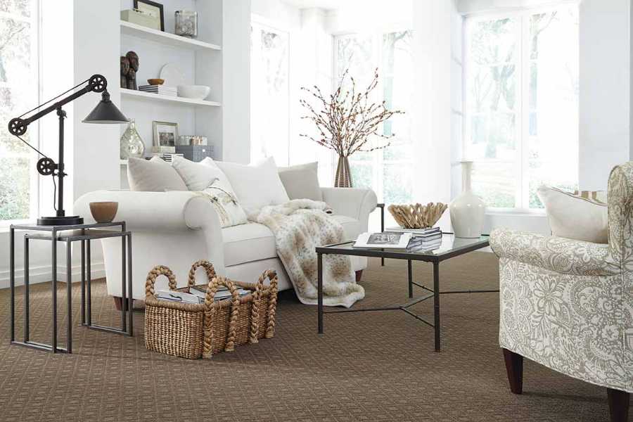 transitional living room with beige patterned carpet